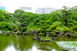 慶沢園内の池；クリックすると大きな写真になります。