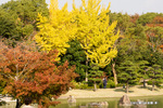 大仙公園日本庭園；クリックすると大きな写真になります。