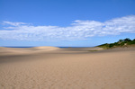 鳥取砂丘；クリックすると大きな写真になります