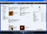 WMP の画面；クリックすると大きな図になります