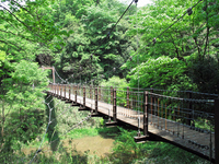 連生寺公園　さえずり橋；クリックすると大きな写真になります
