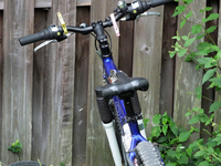自転車のサドルにアカボシゴマダラ；クリックすると大きな写真になります。