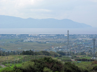 茶畑と駿河湾；クリックすると大きな写真になります