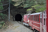 トンネルに入る列車；クリックすると大きな写真になります
