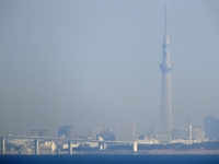 海ほたるから 東京スカイツリー を望む；クリックすると大きな写真になります。