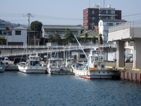 早川漁港；クリックすると大きな写真になります。