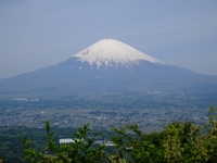 足柄峠から富士山を望む　-2；クリックすると大きな写真になります。