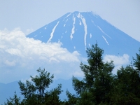 富士山；クリックすると大きな写真になります。