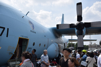 航空自衛隊C-130H　ハーキュリーズ　-2；クリックすると大きな写真になります。