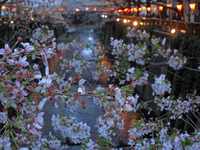 夕暮れの目黒川；クリックすると大きな写真になります