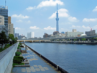 隅田川と東京スカイツリー；クリックすると大きな写真になります
