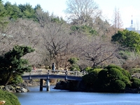 日本庭園；クリックすると大きな写真になります。