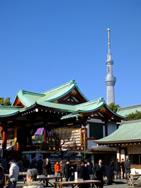本殿東側から東京スカイツリーを望む；クリックすると大きな写真になります。