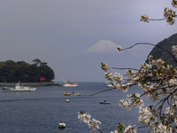 戸田港から見る富士山：クリックすると大きな写真になります