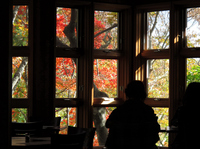 窓からは美しい紅葉；クリックすると大きな写真になります