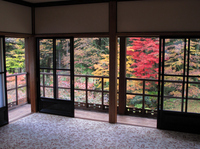 田母沢御用邸　2階から眺めた庭園；クリックすると大きな写真になります