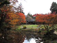 田母沢御用邸 庭園の撮影ポイント；クリックすると大きな写真になります