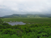 八島ヶ原湿原；クリックすると大きな写真になります