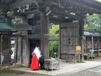 気多大社 神門と巫女さん；クリックすると大きな写真になります。