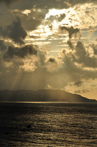 午後の日が射し込む白米千枚田の海；クリックすると大きな写真になります。