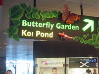 Butterfly Garden GNbNƑ傫Ȏʐ^ɂȂ܂