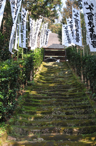 杉本寺の苔の階段：クリックすると大きな写真になります