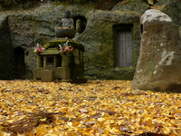 東慶寺 銀杏の落ち葉；クリックすると大きな写真になります