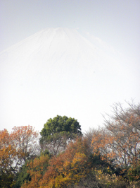 富士見台；クリックすると大きな写真になります
