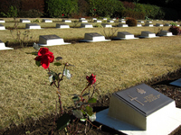 墓標とバラの花；クリックすると大きな写真になります