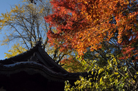旧天瑞寺寿塔覆堂　表側；クリックすると大きな写真になります