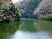 散在ガ池（鎌倉湖）；クリックすると大きな写真になります。