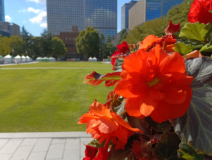 000_X700 IMG_20251017_110308_1.jpg