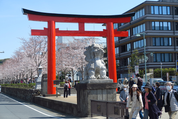 000_250405011 X700 鶴岡八幡宮 段葛 G7X.jpg