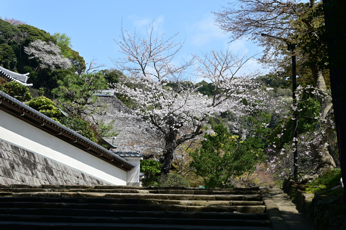 000_250405229 X700 ◎円覚寺 Z50 Z18-140.jpg