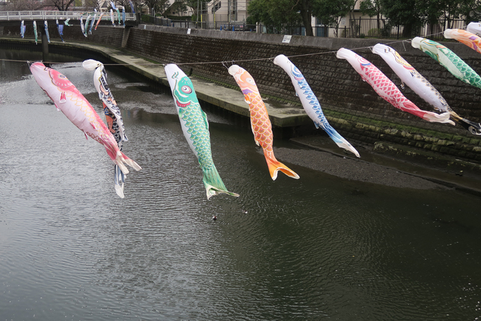 000_260322045 X700 ○帷子川河畔 G7X.jpg