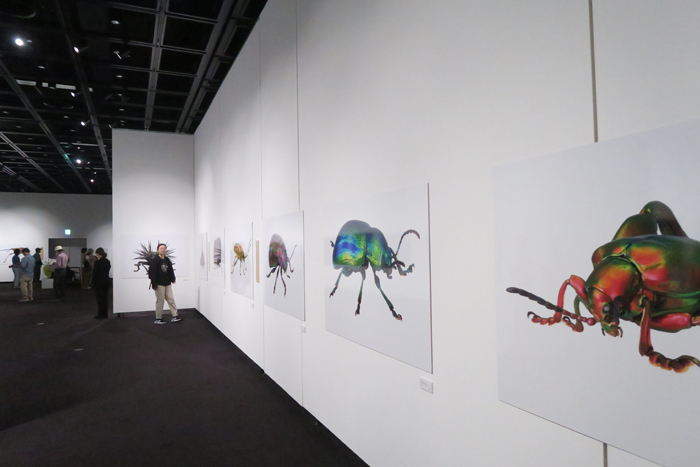 000_260520006 X700 恵比寿  東京都写真美術館 「虫展」 G7X.jpg