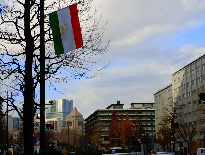 000_251219001 X700.jpg