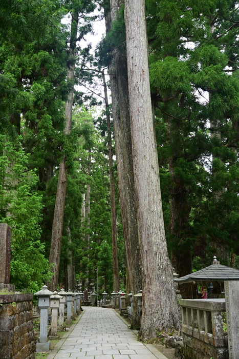 000_250622729 X700 〇高野山 Z50 Z18-140.jpg