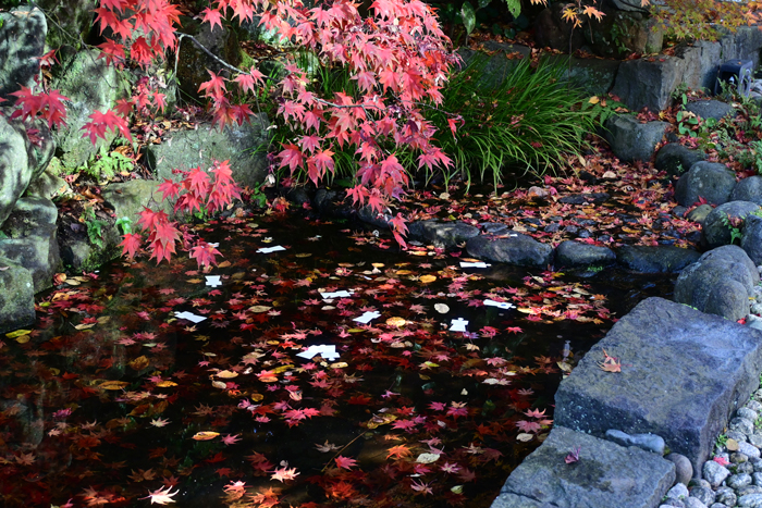 000_251127058 X700 ◎神明社人形流し Z30 Z16-50.jpg