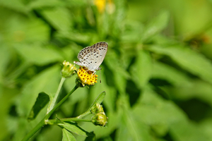 023_241002157 X900 ◎帷子川 川辺公園 RX10M4.jpg