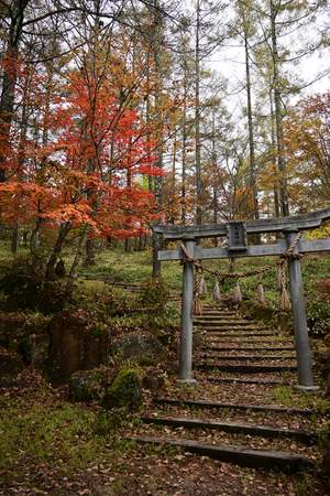 050_241030269 X900 〇横谷観音展望台 大滝神社 Z50 Z18-140.jpg