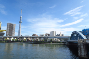 003_241022015 X900 言問橋 G7X.jpg