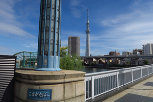 001_241022013 X900 言問橋 G7X.jpg