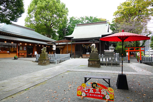 002_241016007m X900 杉山神社 RX10M4.jpg