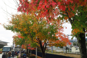 003_241030010 X900 茅野駅 G7X.jpg