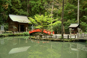 005_241126084 X900 小国神社 Z50 Z18-140.jpg