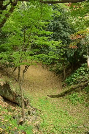 037_241126194 X900 岡崎城公園 Z50 Z18-140.jpg