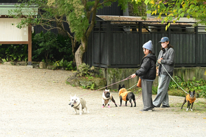 034_241126184 X900 岡崎城公園 Z50 Z18-140.jpg