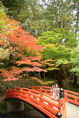 022_241126155 X900 小国神社 Z50 Z18-140.jpg