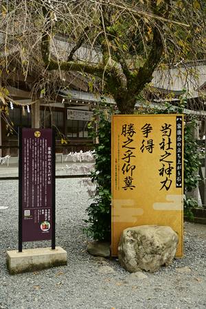 012_241126109 X900 小国神社 Z50 Z18-140.jpg